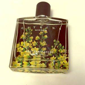 NEST Fragrances